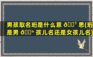 男孩取名珩是什么意 🌹 思(珩是男 💮 孩儿名还是女孩儿名)